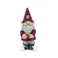 Collegiate Gnome TAM